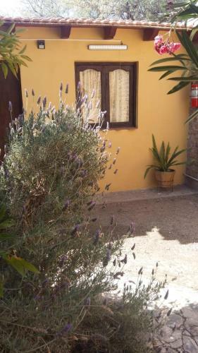 Hostal Mamaku Huasi