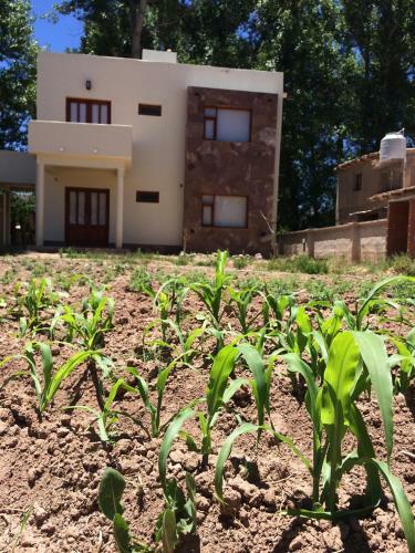 Apartamento La Chakana Humahuaca
