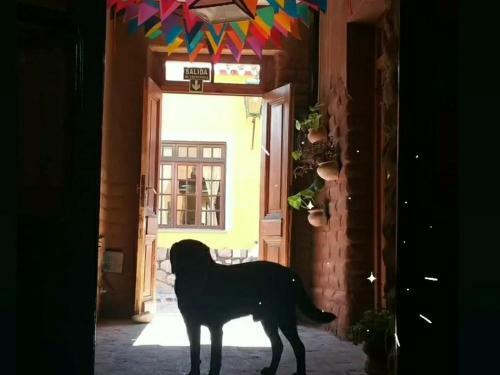 Bed & Breakfast Humahuaca Hostal
