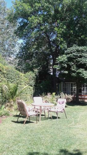 Bed & Breakfast Newen Posada