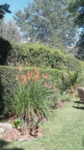 Bed & Breakfast Newen Posada
