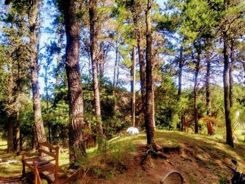 Pampas