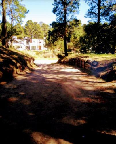 Pampas