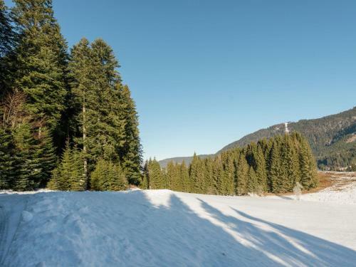 Dachstein Chalet