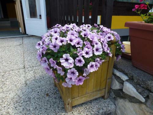 Posada Gailtal Inn