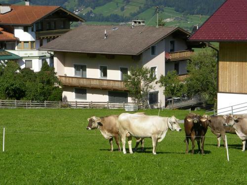 Landhaus Kr�ll