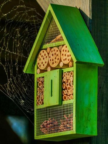 Bed & Breakfast G�stehaus Pointner