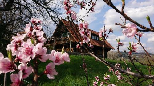 Hostal G�stehaus Der Gamser Winzerstube