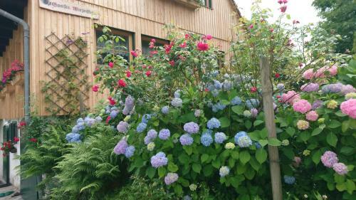 Hostal G�stehaus Der Gamser Winzerstube