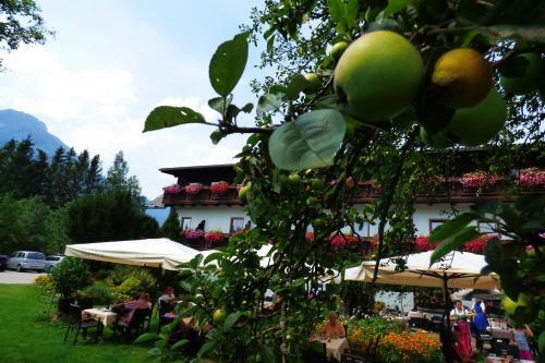 Bed & Breakfast Wieselm�hle Forellenhof