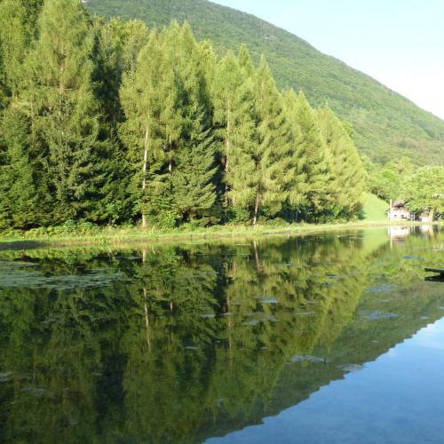 Bed & Breakfast Wieselm�hle Forellenhof