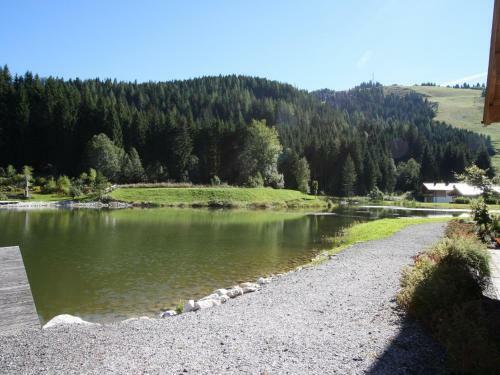 Chalet Hinterthal