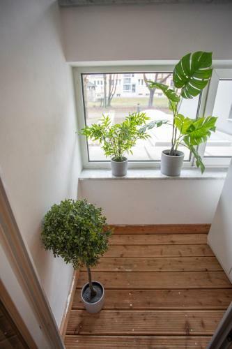 Apartamento Innsbruck Deluxe City Center Studio