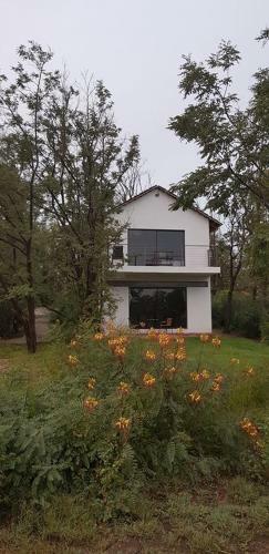 Bed & Breakfast The Willows Guesthouse
