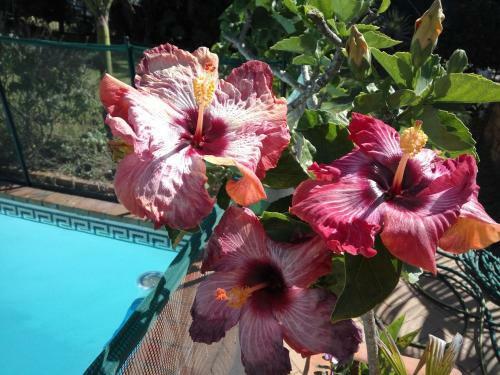 Hostal Cape Oasis Guesthouse