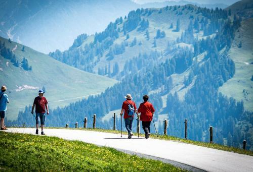 Hostal Berghaus Tirol