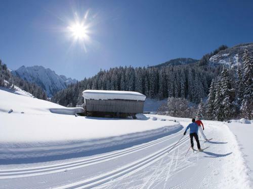 Modern Apartment In Ramsau Im Zillertal With Terrace
