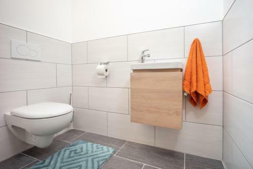 Apartamento Haus Alpenruhe By Schladmingurlaub