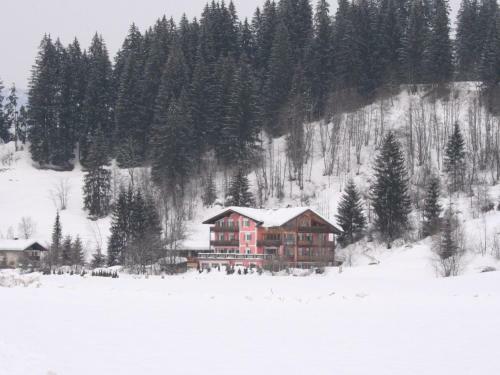 Serene Apartment In Reith Bei Kitzb�hel With Sauna,terrace