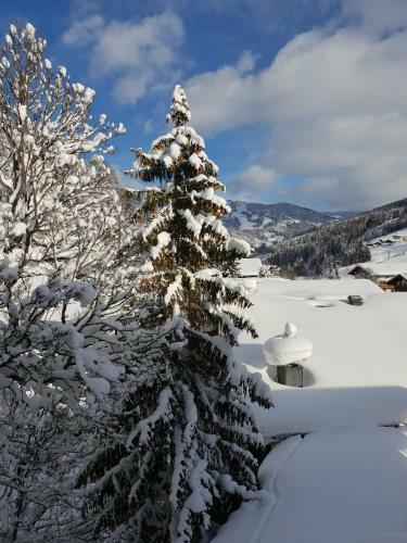 Gartenhotel Theresia