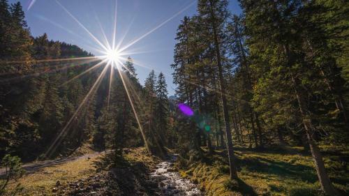 Bed & Breakfast Hotel Garni Isarlodge Wiesenhof