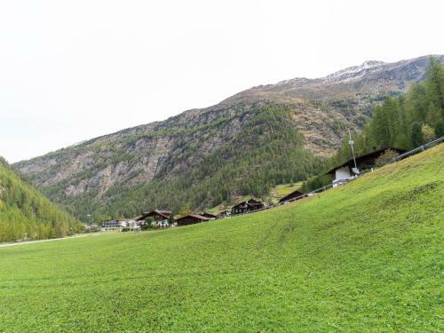 Elegant Apartment In Zwieselstein With Garden