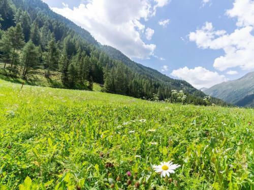 Elegant Apartment In Zwieselstein With Garden