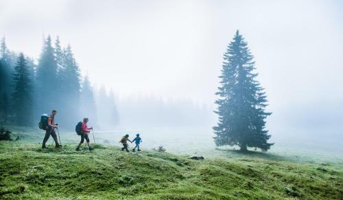 Hotel Seefeld-lodge