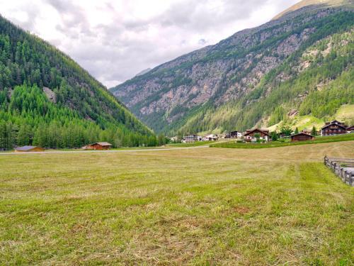 Beautiful Apartment In Zwieselstein With Balcony
