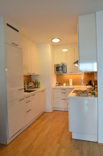 Vienna Dc Living Apartment With Parking On Premise
