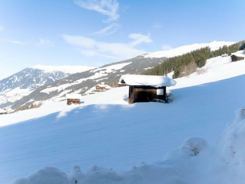 Apartment Alpenblick - Zaz384
