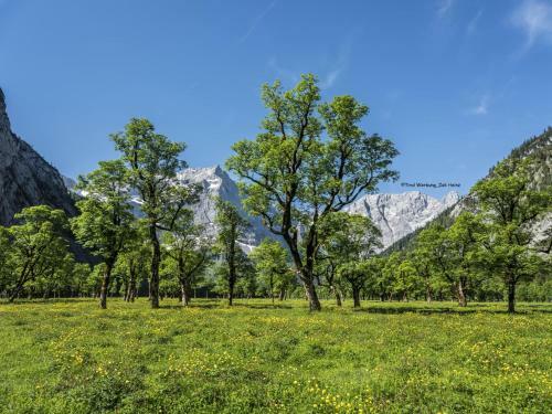 Apartamento Sonnenwinkel I