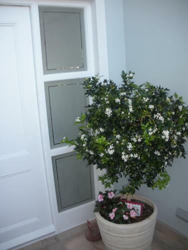Apartamento Beyond The Blue