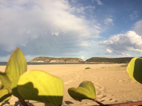 Self At Plett
