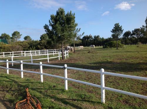 Agroturismo T'niqua Stable Inn