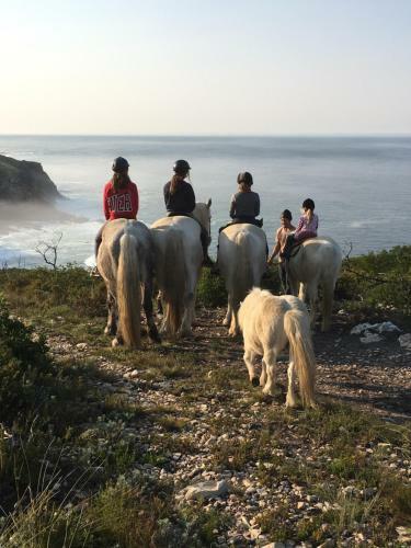 Agroturismo T'niqua Stable Inn