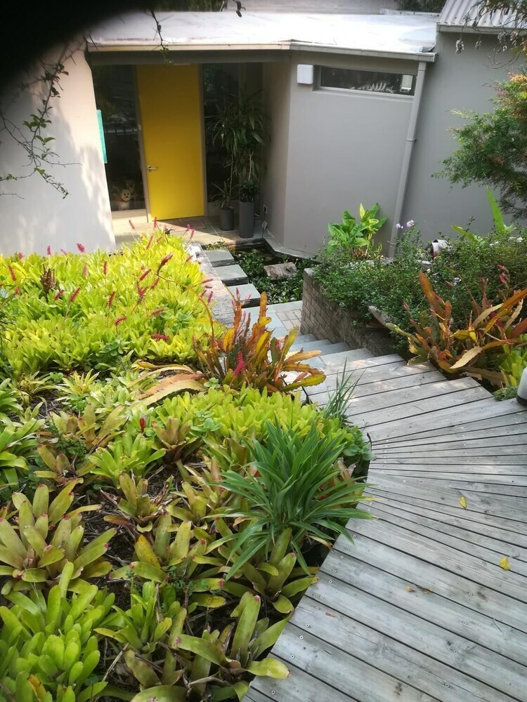 Apartamentos Treehaven