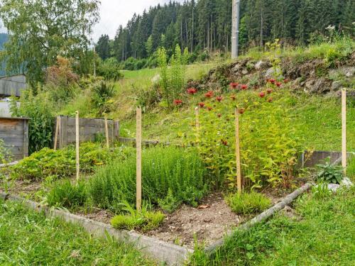 Serene Apartment In Hochf�gen With Garden
