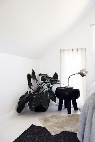 Byron Beach Abodes