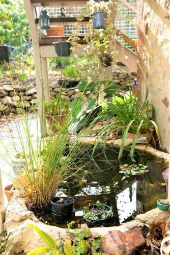 Apartamento Adelaide Hills 'camellia Cottage' - Wifi