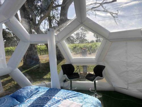 Coonawarra Hex Bubbles 4