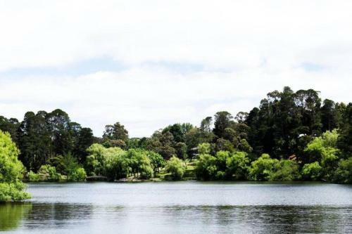 Splinters Cottage - Lakeside Retreat