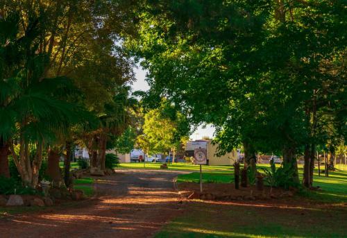 Dorrigo Mountain Holiday Park
