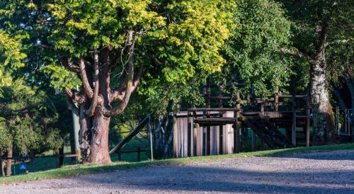 Dorrigo Mountain Holiday Park