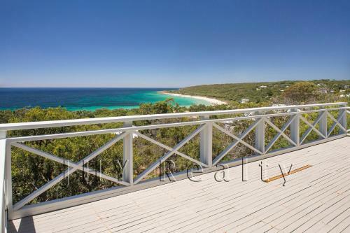 The Lookout