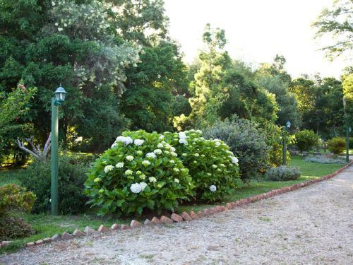 Bed & Breakfast Andelomi Forest Lodge