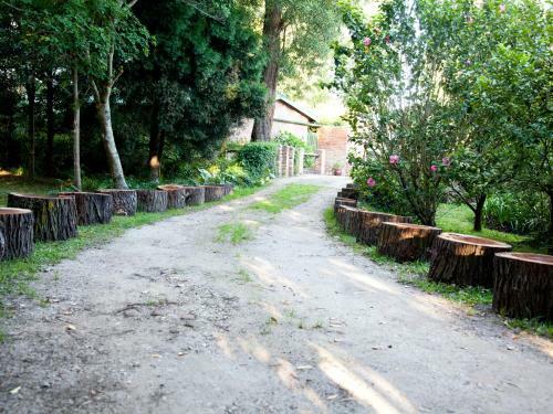 Bed & Breakfast Andelomi Forest Lodge