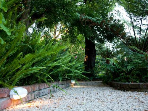 Bed & Breakfast Andelomi Forest Lodge