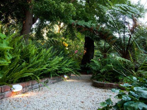 Bed & Breakfast Andelomi Forest Lodge
