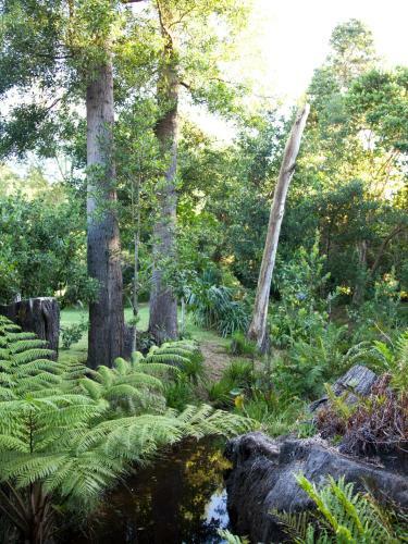 Bed & Breakfast Andelomi Forest Lodge